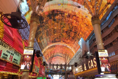 Las-Vegas9