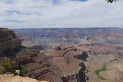 Room-with-a-view9