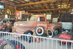Hackberry5jpg
