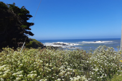 Highway1-10