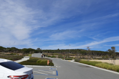 Monterey-beach18