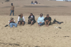 Monterey-beach33