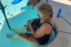 Poolday7