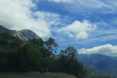 sequioa17