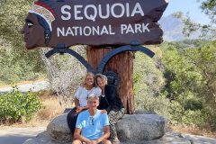 sequioa7