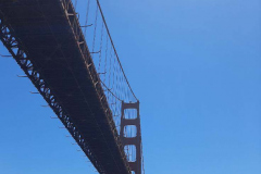 sf21