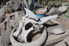 dag2-oatman8