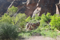 Zion-Park1