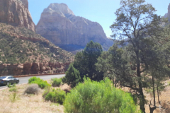 Zion-Park10