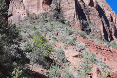 Zion-Park2